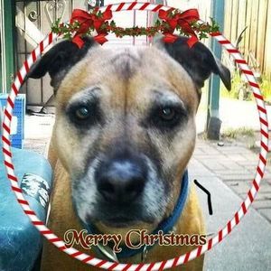 Meet your Posher, Robin